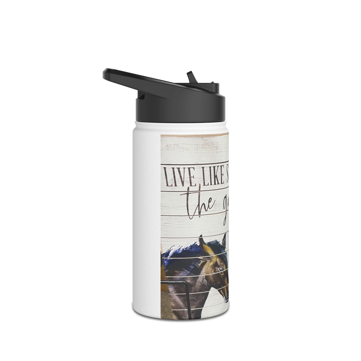 Horse Dream Stainless Steel Water Bottle, Standard Lid