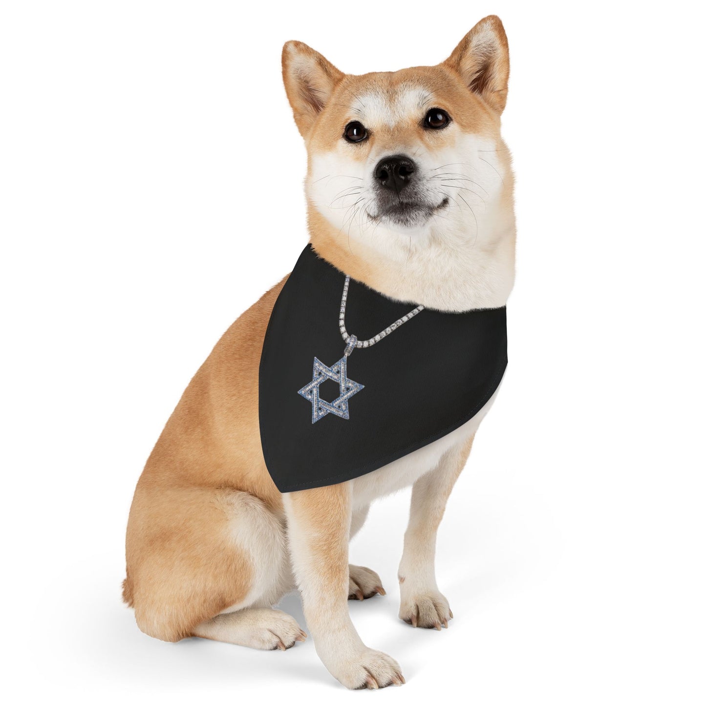 Star of David Chain Pet Bandana Collar