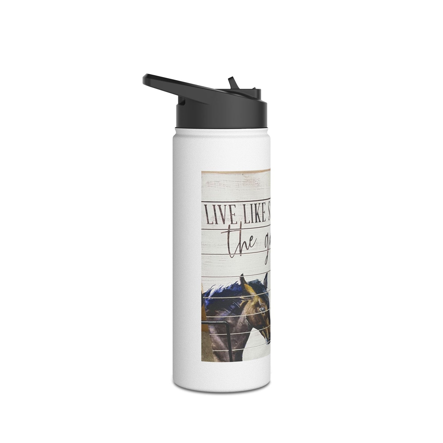 Horse Dream Stainless Steel Water Bottle, Standard Lid